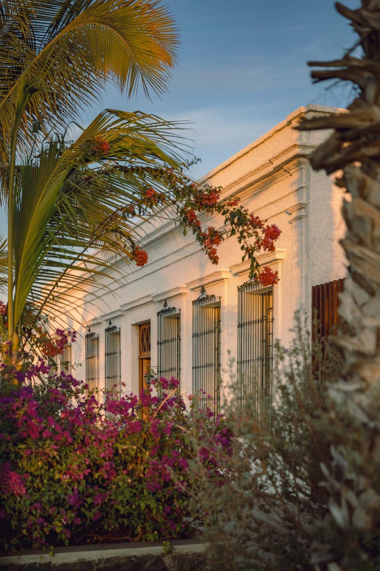 Baja Club Hotel, La Paz, Baja California Sur, A Member Of Design Hotels Εξωτερικό φωτογραφία